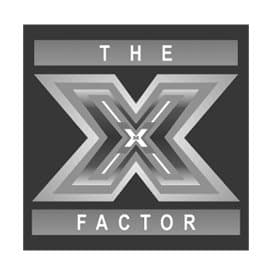 The X Factor The X Factor